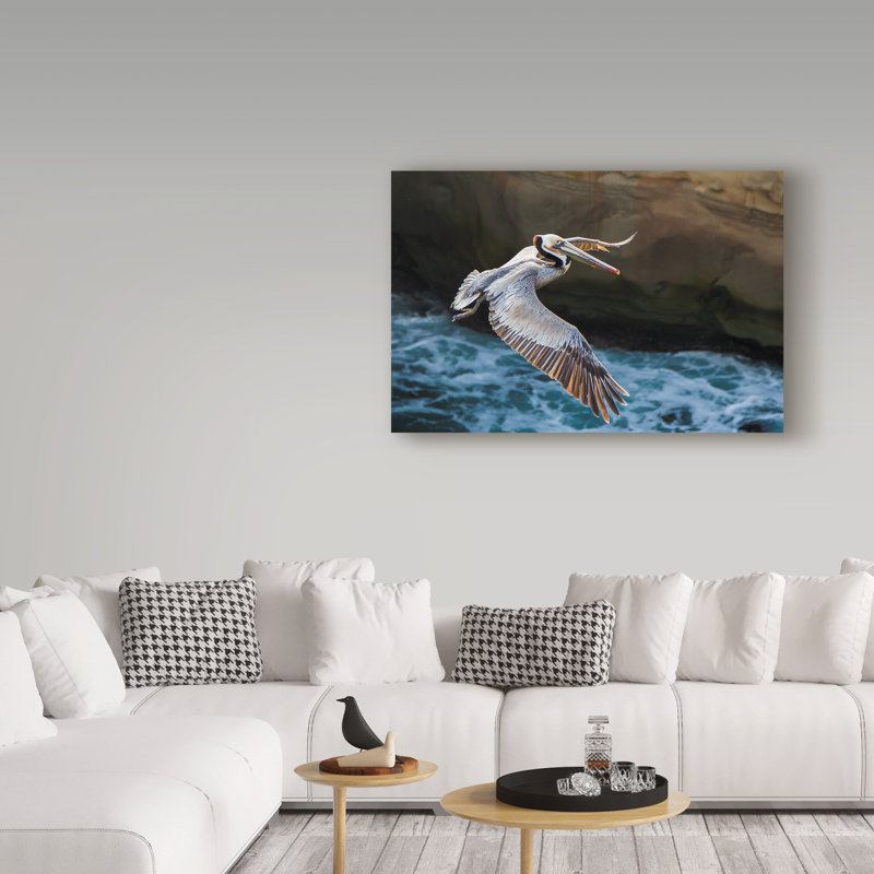 « pelican flight », reproduction de photo sur toile tendue, H 12 po x l 19 po x P 2 po