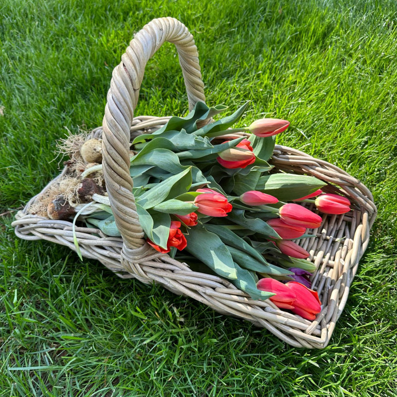 Garden Trug