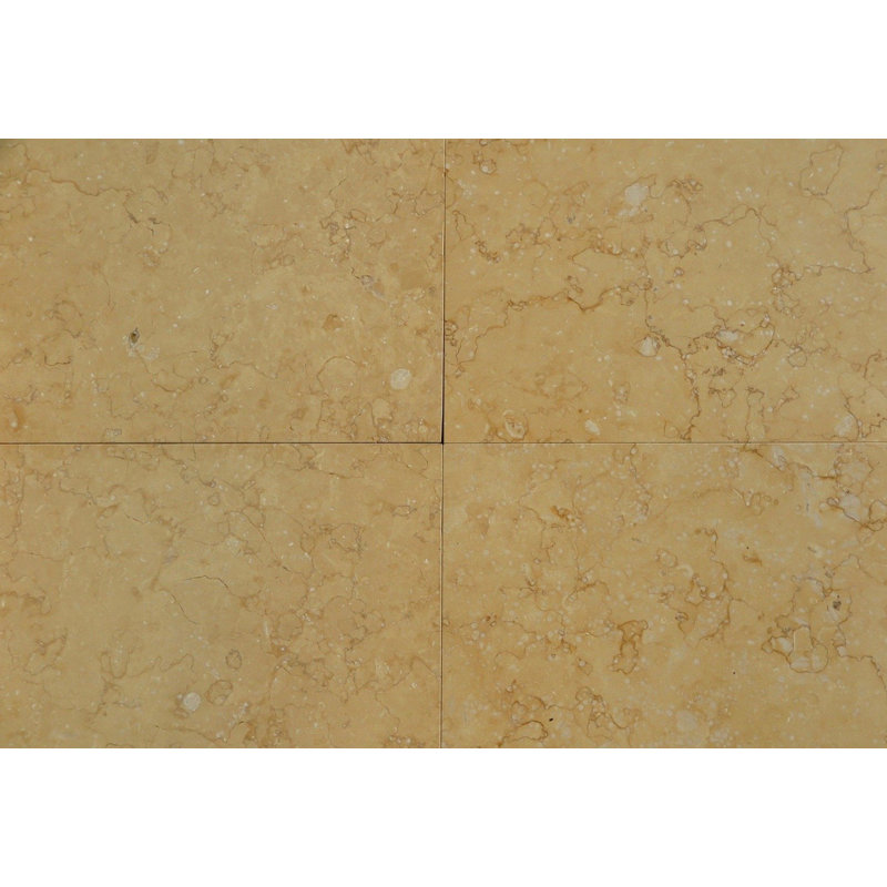 18" x 18" Limestone Stone Look Wall & Floor Tile, Polished Atlantic Gold
