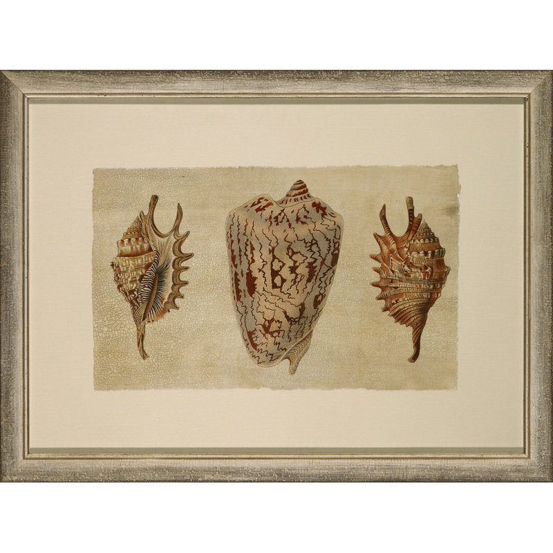 Crackled Triple Shell 2 Painting