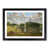 Black Framed