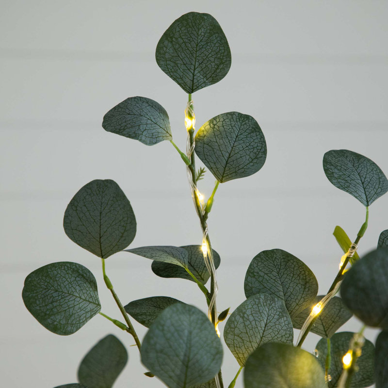 5 pi Eucalyptus artificiel éclairé avec 300 lumières DEL blanc chaud