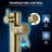 Coral Series 2-Handle Freestanding Tub Faucet In Satin Brass With 60 In. Pull Out Hand Sprayer And High Arched Spout