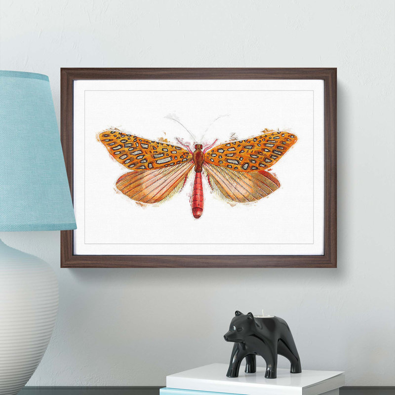 Venus Moth by George Shaw - Picture Frame Painting Print, 36cm H x 48cm W x 2cm D, Walnut Framed