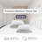 Cooling Memory Pillow (set Of 2)