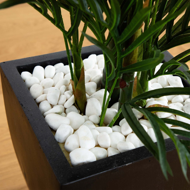 Areca Palm Artificial Tree with Black Planter, Black, 54" H x 33" W x 33" D
