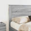 Headboard-1703146494-1703146473