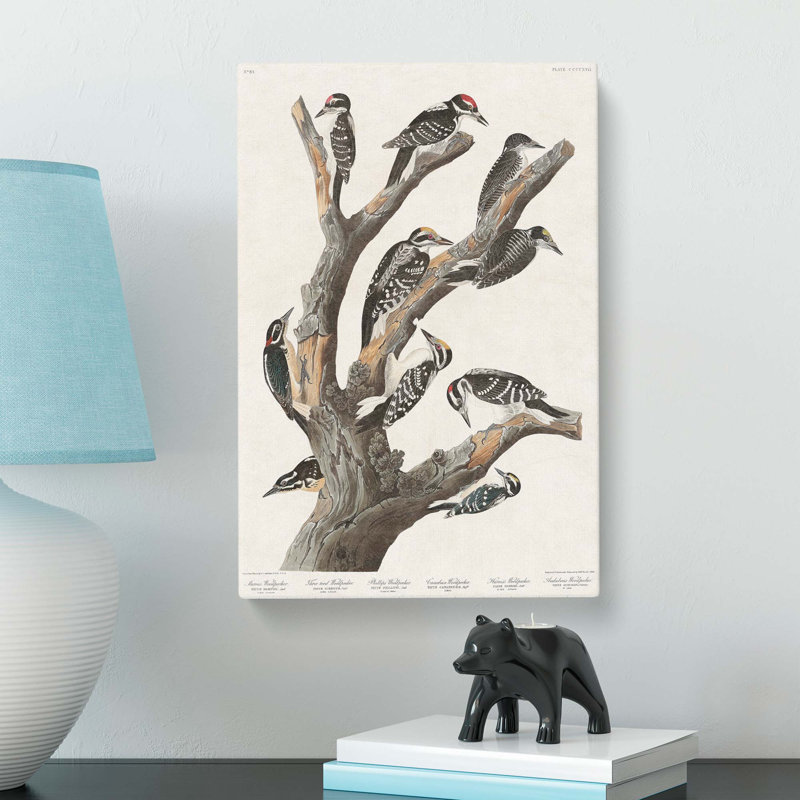 Woodpeckers by John Audubon - Wrapped Canvas, 50cm H x 35cm W x 3cm D