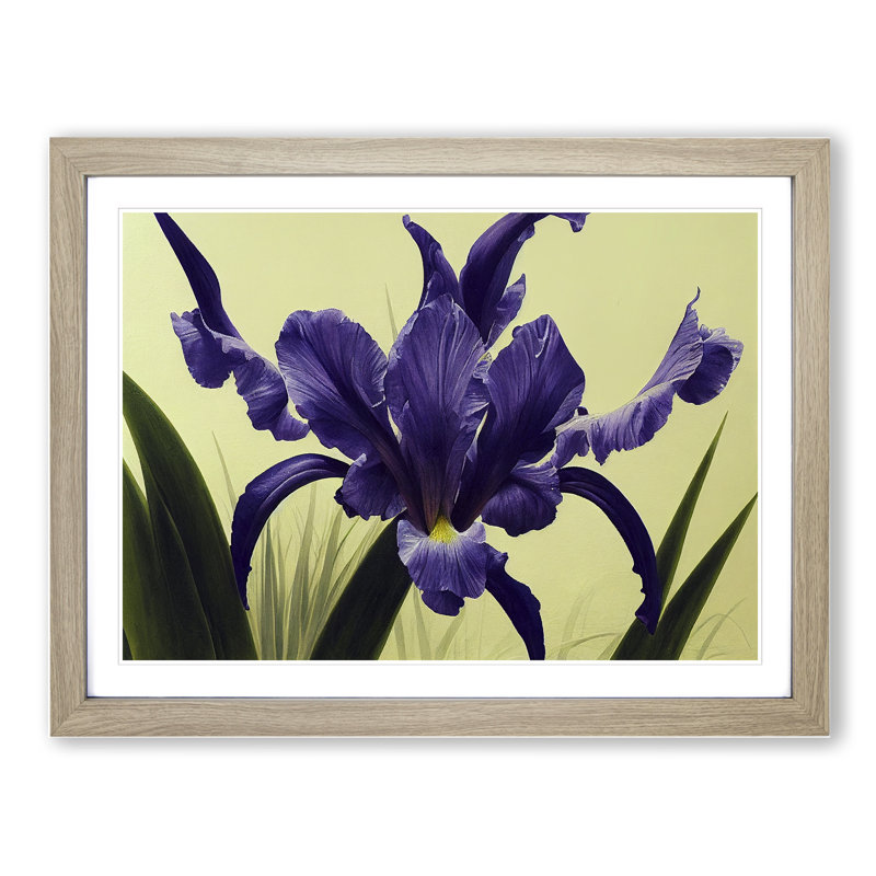 Cute Iris Flowers - Framed Print, 46cm H x 64cm W x 2cm D, Oak