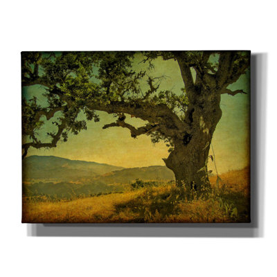 Blue Oak Hilltop' by William Guion, Canvas Wall Art