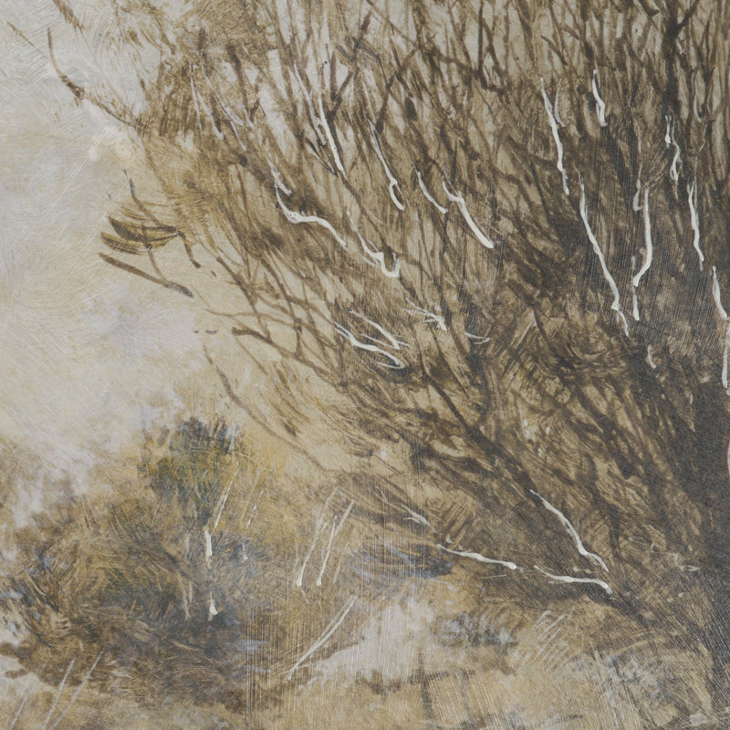 Harilaos Vista II By Studio Textured Framed Artwork Matted Under Glass, 41.5" H x 51.5" W, Cream, Timeless Vista II