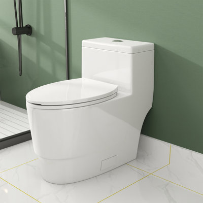 17" ADA Comfort Height Dual-Flush Toilet Modern Elongated One-Piece Toilet for Floor Mounted Glazed Surface (Seat Included)