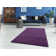 Borroto Indoor Rug