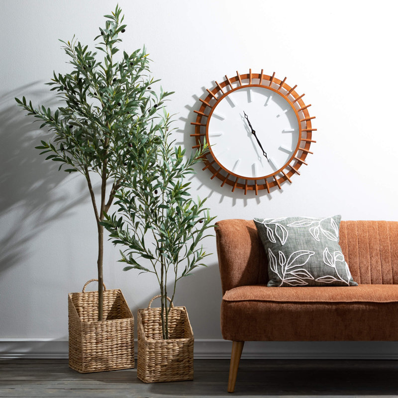 Ackerson 72 plantes