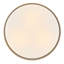 Hinkley Cedric Flush Mount Flat-761462255