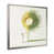 Single Picture Framed Print without Mat sélectionné