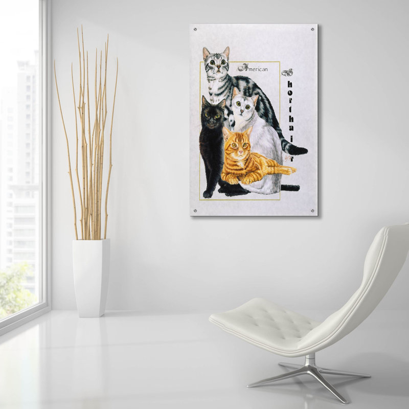American Shorthair sur plastique / acrylique par Barbara Keith, H 36 po x l 24 po x P 0,2 po