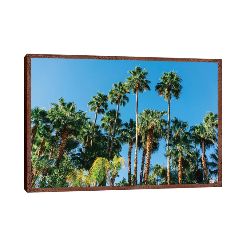 Palm Springs Palms III by Bethany Young - Print on Canvas, Classic Brown Wood Framed, 101.6cm H x 152.4cm W x 3.81cm D