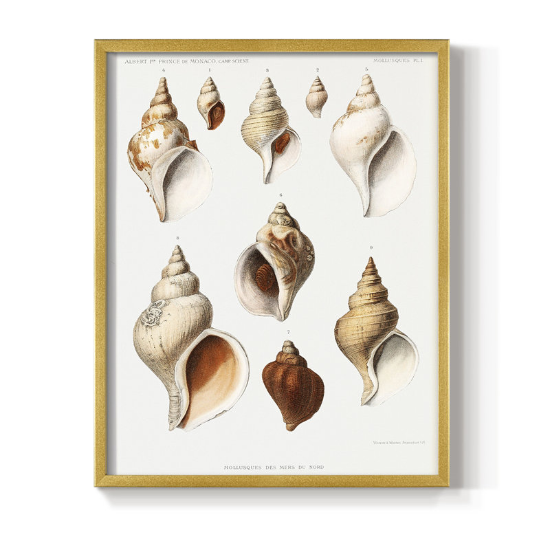Vintage Nautical Print X Framed Print - Solid Wood, 11" H x 9" W, Gold
