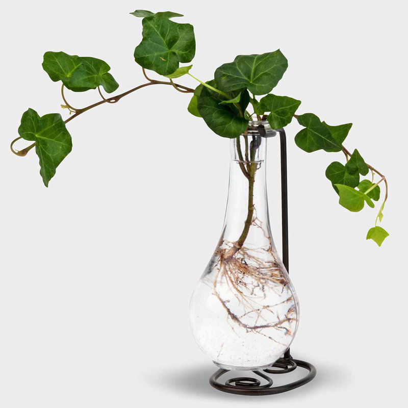 Vase drop table Berthelot, Transparent