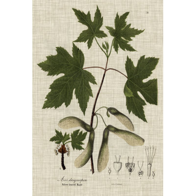 Linen & Leaves II by Vision Studio - Wrapped Canvas Art Prints