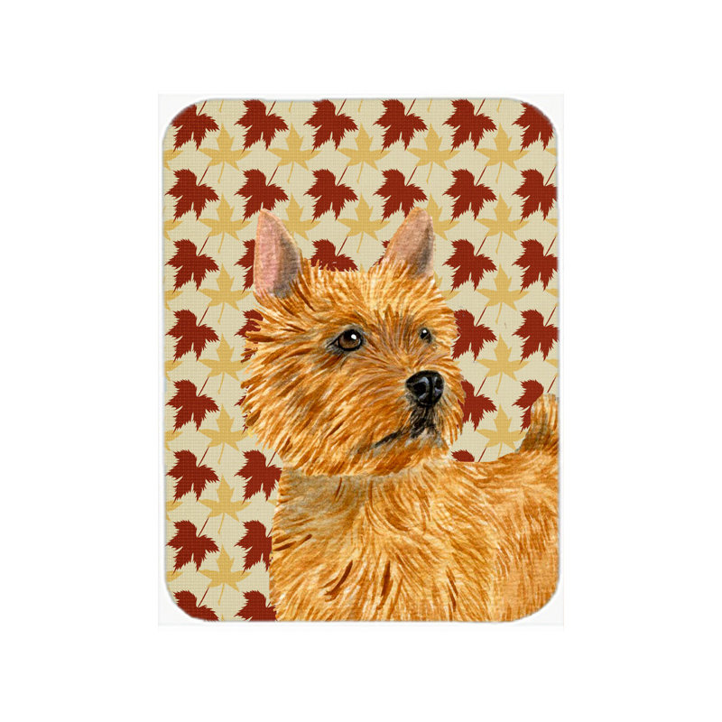 Planche à découper en verre à norwich terrier east urban home