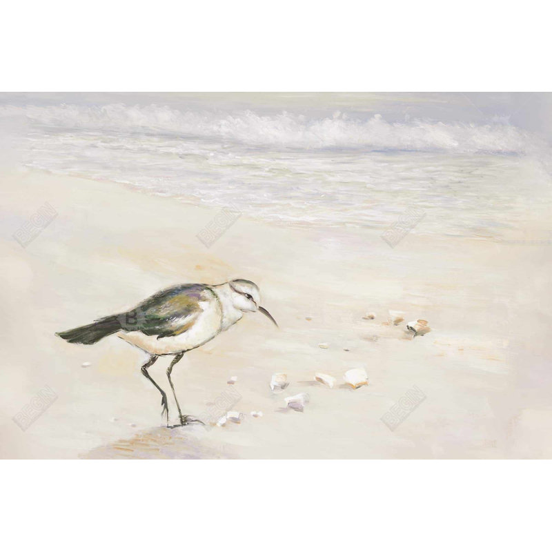 Semipalmated sandpiper on the beach Bath Mat with Non-Slip Backing - Quick Dry Memory Foam Bathroom Rug - Absorbent - Modern Plush Spa-Style - Machine Washable