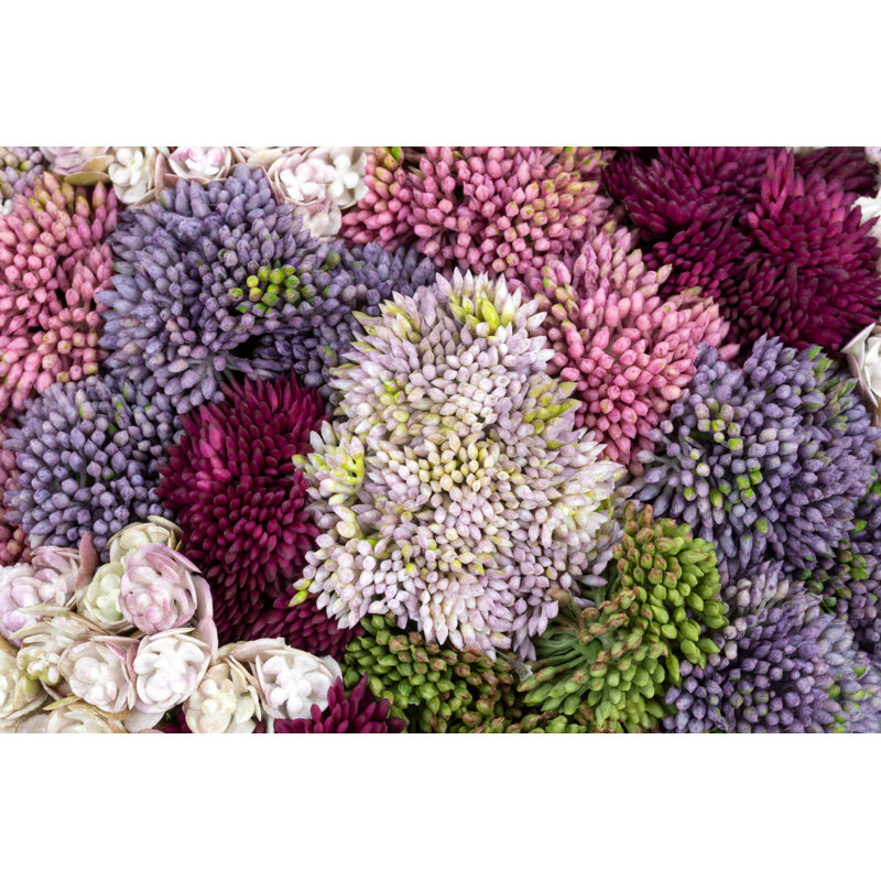 Ariane Sedum Arrangement, Charcoal