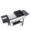 Barbecue au gaz à 2 brûleurs avec surface de cuisson Plancha et grilles en fonte