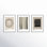 Caos E Ordine 2