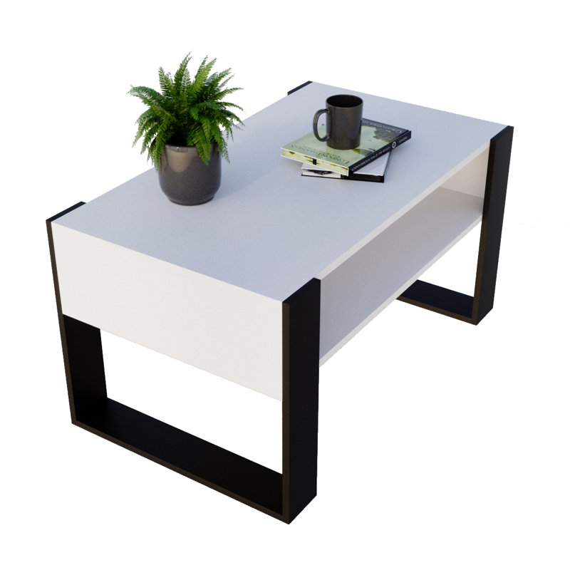 Lanea Sled Coffee Table with Storage