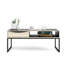 Sled Coffee Table with Storage