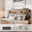 Grand lit plateforme en métal et bois avec tête de lit à DEL avec chargement USB et rangement sous le lit gris classique