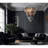 Altesa 46 - Light Dimmable Chandelier