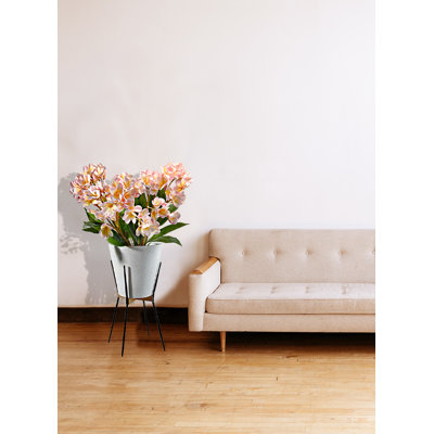Planter