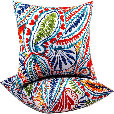 Paisley Throw Pillow