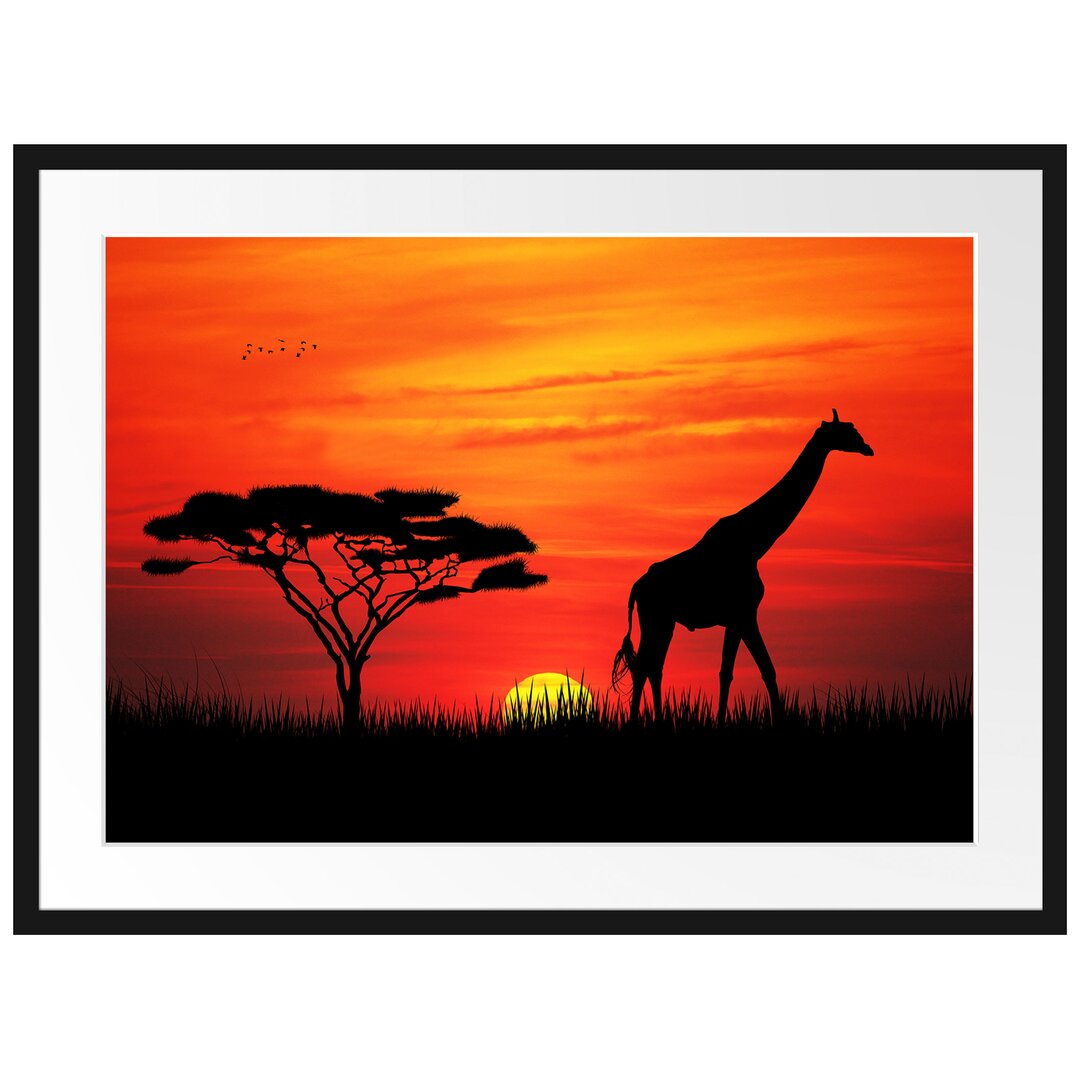 Gerahmtes Poster Giraffe im Sonnenuntergang