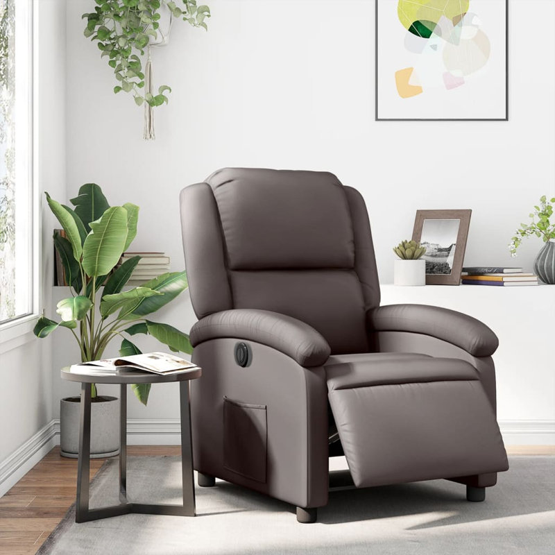 Fauteuil inclinable Budhram, Brun foncé, Electric