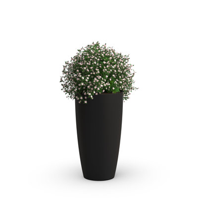 Solace 22in Tall Planter with Removable Planting Tray, Black