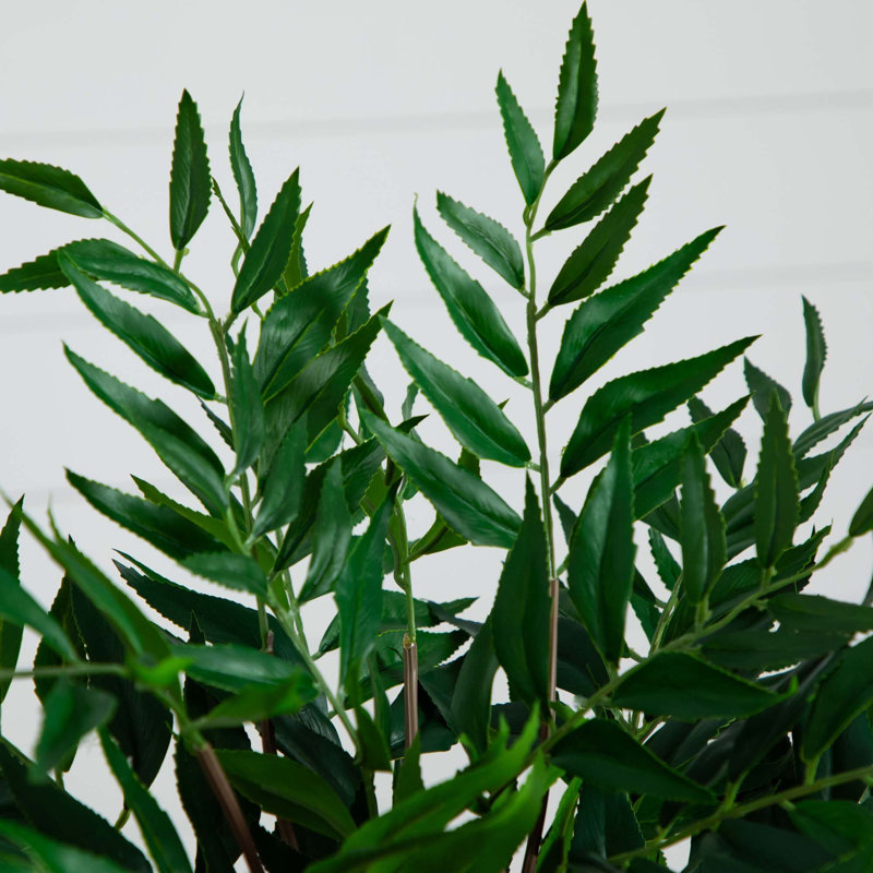 19-inch Green Fern Arrangement in Clear Glass Vase