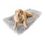  Tapis pour chien Puprug Runner-562120706-562120705