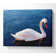 Swan In The River - Wrapped Canvas Print