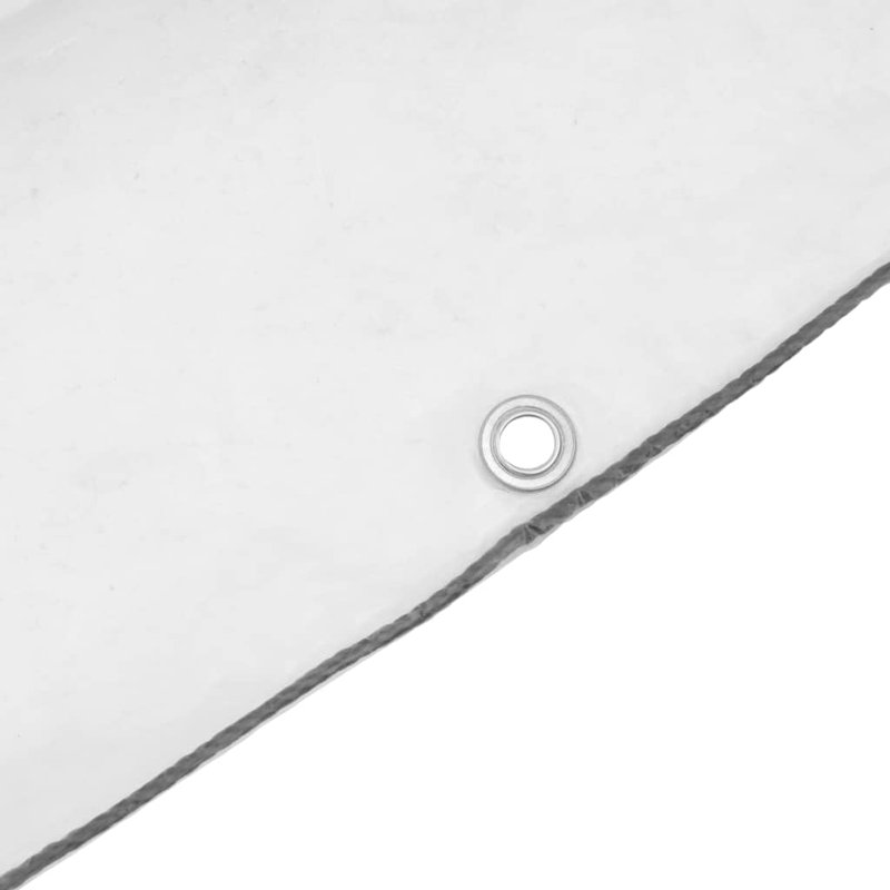 Bâche transparente avec œillets 9,8 x 26,2 pi Vidaxl, L 26,20 po x P 9,80 po, Transparent/noir