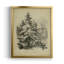 The Spruce - Toile encadrée de qualité supérieure - prête à être accrochée