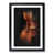 Black Framed