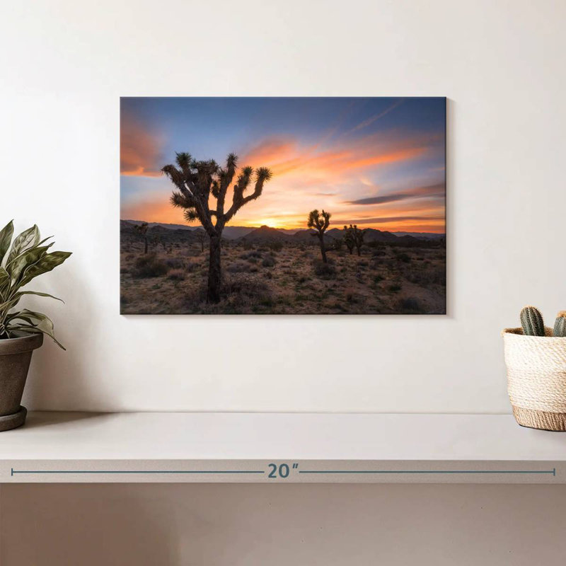 Harnek Joshua Tree Desert Morning, H 8 po x l 12 po