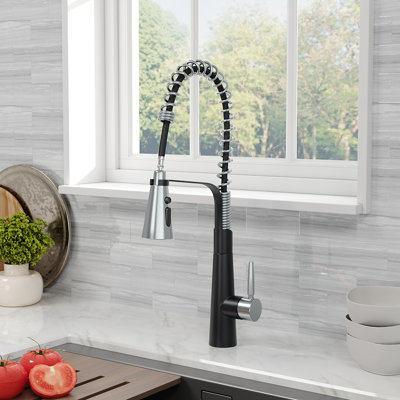 Belfry Kitchen Dunfee Pull Out Kitchen Faucet