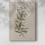 Tige florale blanche I - Cavas enveloppés de galerie-108843937