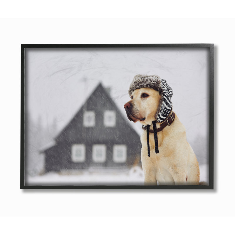 «Nordic Vibes Golden Retriever Dog», reproduction d'impression, H 16 po x l 20 po, Giclée encadrée noir minuit