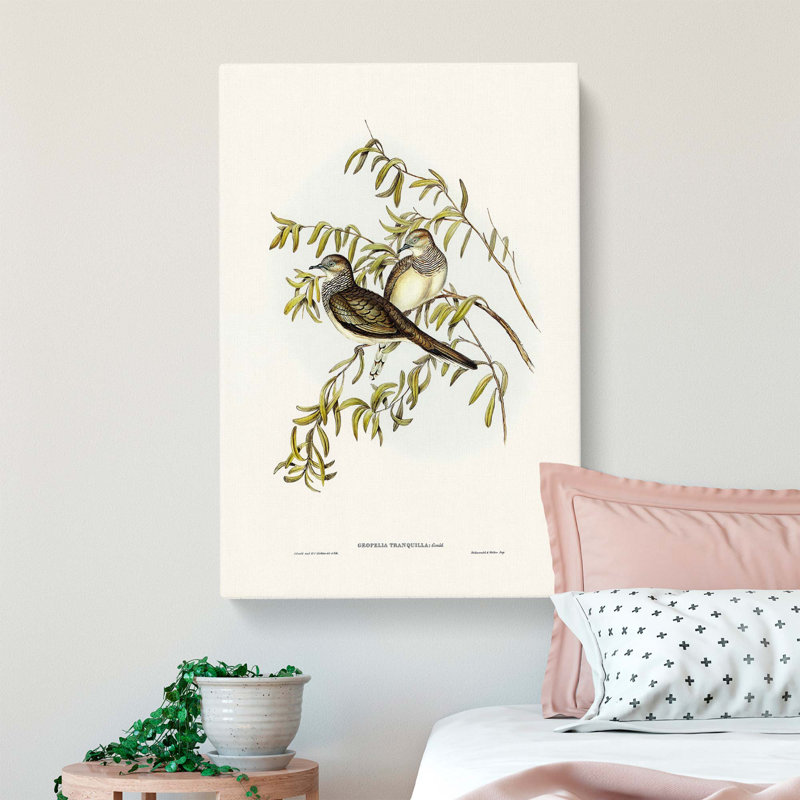 Peaceful Ground Doves by Elizabeth Gould - Wrapped Canvas Print, 60cm H x 40cm W x 3cm D